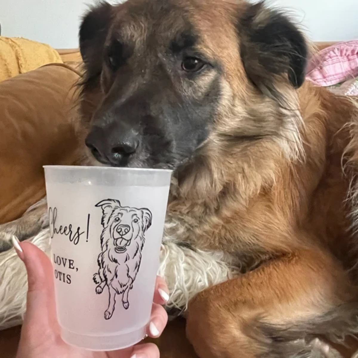10/50 Custom Hand Drawn Pet Po - Pet Portrait Custom 评论和价格